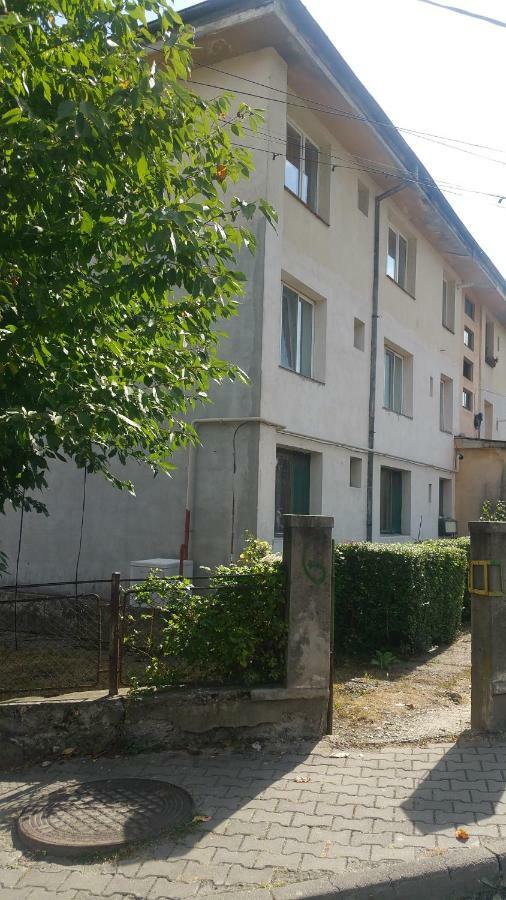 Apartament Lavinia Călimăneşti Extérieur photo