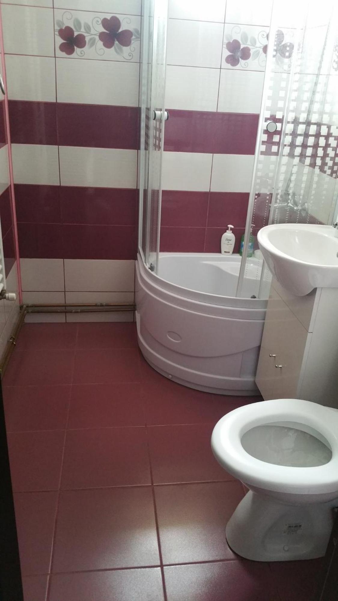 Apartament Lavinia Călimăneşti Extérieur photo