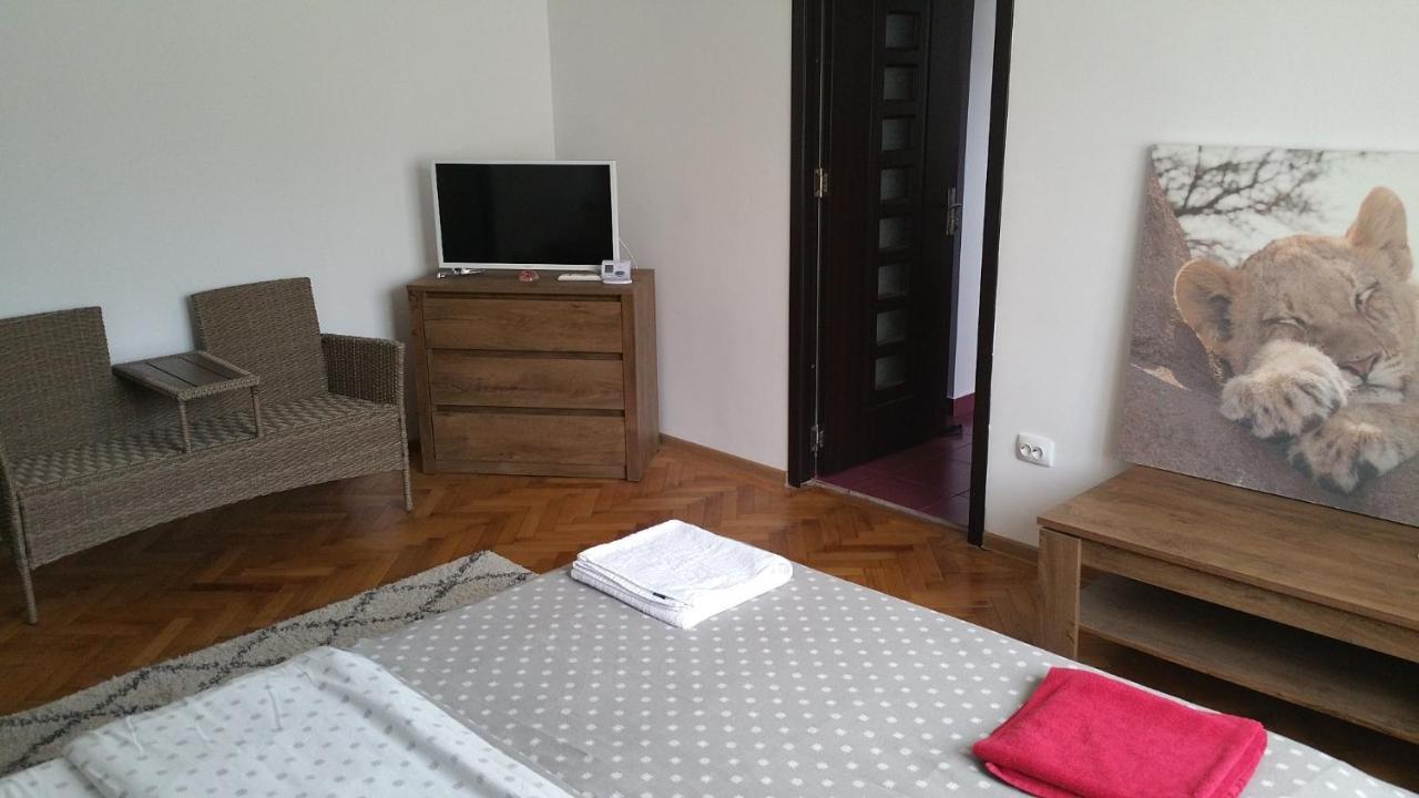 Apartament Lavinia Călimăneşti Extérieur photo